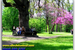 Софиевский парк в Умани, Умань, парк Софиевка. Туры из Киева от Ukrainian Tour (044) 360 5737